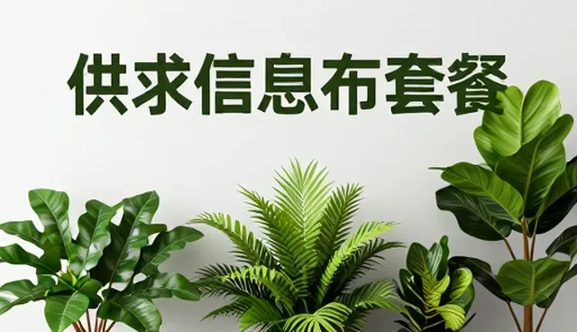 提升用户体验的关键在于细节优化与服务延续